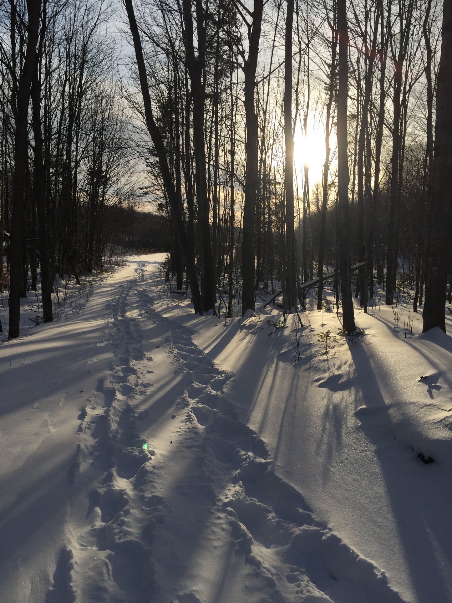 Balade hivernale